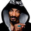 Snoop AI Logo
